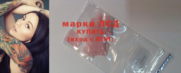 спайс Бородино