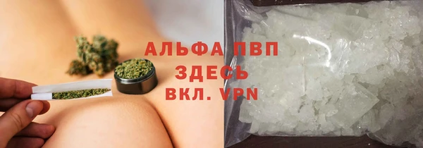 спайс Бородино