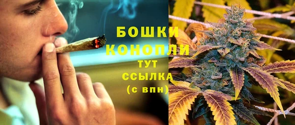 спайс Бородино