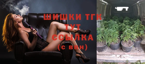 спайс Бородино