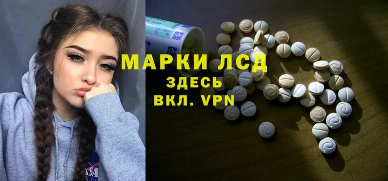 где купить наркоту  Вышний Волочёк  Лсд 25 экстази ecstasy 