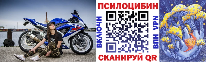 Галлюциногенные грибы Cubensis  закладки  Вышний Волочёк 